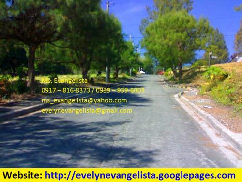 FOR SALE: Lot / Land / Farm Rizal 5