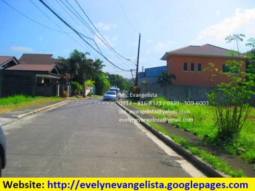 FOR SALE: Lot / Land / Farm Rizal