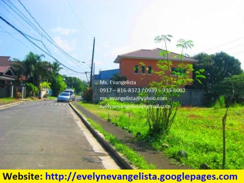 FOR SALE: Lot / Land / Farm Rizal 1