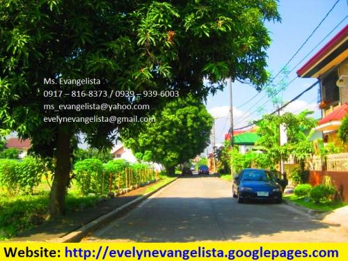 FOR SALE: Lot / Land / Farm Rizal 2