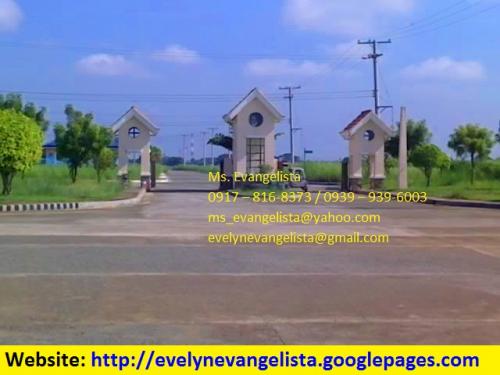 FOR SALE: Lot / Land / Farm Nueva Ecija