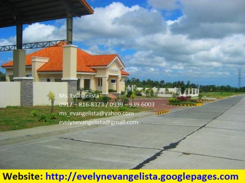 FOR SALE: Lot / Land / Farm Cavite 3