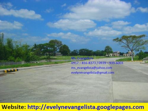 FOR SALE: Lot / Land / Farm Cavite 2