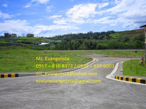 FOR SALE: Lot / Land / Farm Cavite 1