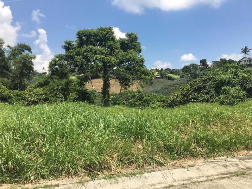 FOR SALE: Lot / Land / Farm Tagaytay 2