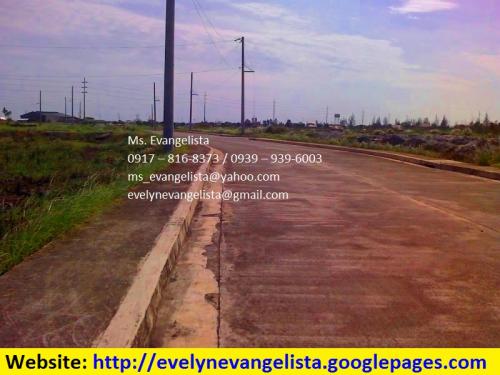 FOR SALE: Lot / Land / Farm Rizal 3