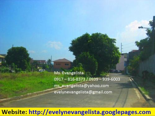 FOR SALE: Lot / Land / Farm Rizal 3