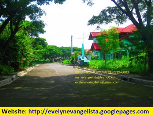 FOR SALE: Lot / Land / Farm Cavite 2