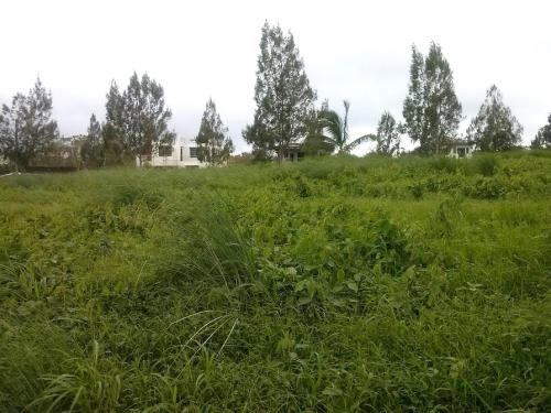 FOR SALE: Lot / Land / Farm Tagaytay 5