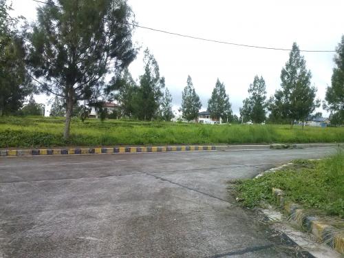 FOR SALE: Lot / Land / Farm Tagaytay 18