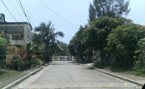 FOR SALE: Lot / Land / Farm Rizal > Cainta 1