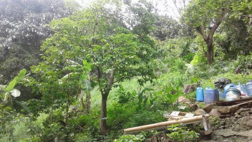 FOR SALE: Lot / Land / Farm Cebu