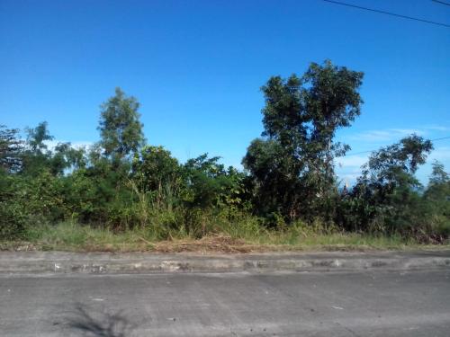 FOR SALE: Lot / Land / Farm Cebu > Cebu City 1