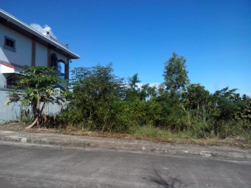 FOR SALE: Lot / Land / Farm Cebu > Cebu City 2