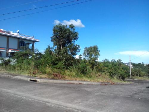 FOR SALE: Lot / Land / Farm Cebu > Cebu City 3