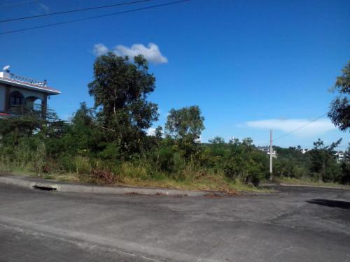 FOR SALE: Lot / Land / Farm Cebu > Cebu City 6