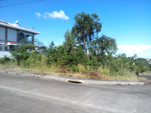 FOR SALE: Lot / Land / Farm Cebu > Cebu City 8