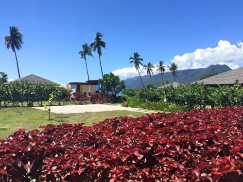 FOR SALE: Beach / Resort Batangas 5