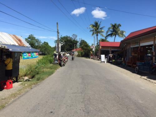 FOR SALE: Lot / Land / Farm Pangasinan