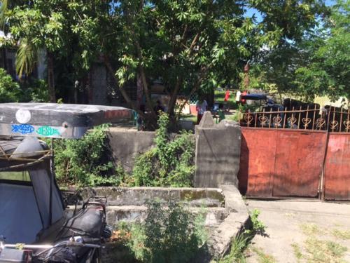 FOR SALE: Lot / Land / Farm Pangasinan 2