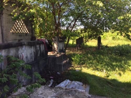 FOR SALE: Lot / Land / Farm Pangasinan 4