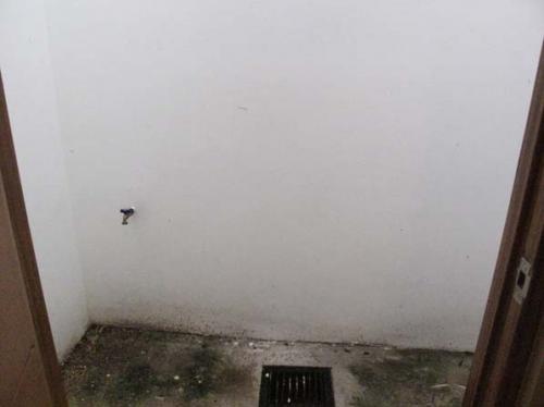 FOR SALE: House Quezon 4