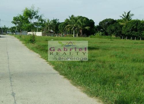 FOR SALE: Lot / Land / Farm Cebu