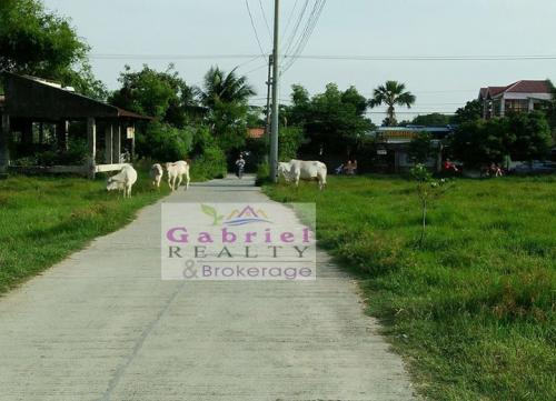 FOR SALE: Lot / Land / Farm Cebu 1