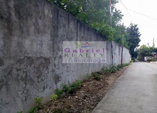 FOR SALE: Lot / Land / Farm Cebu 1