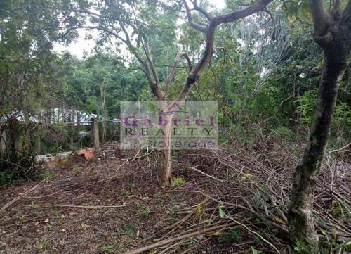 FOR SALE: Lot / Land / Farm Cebu 5