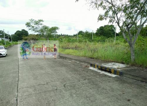 FOR SALE: Lot / Land / Farm Cebu 1