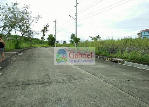 FOR SALE: Lot / Land / Farm Cebu 4