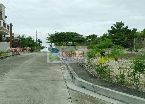 FOR SALE: Lot / Land / Farm Cebu 1