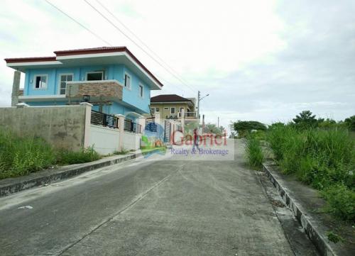 FOR SALE: Lot / Land / Farm Cebu 3