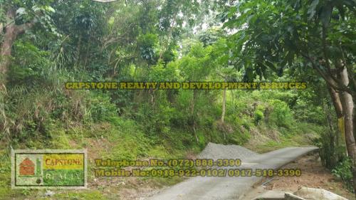 FOR SALE: Beach / Resort La Union 4
