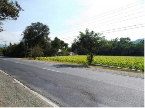 FOR SALE: Lot / Land / Farm La Union 4