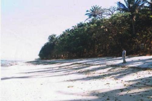 FOR SALE: Beach / Resort Ilocos Norte 3