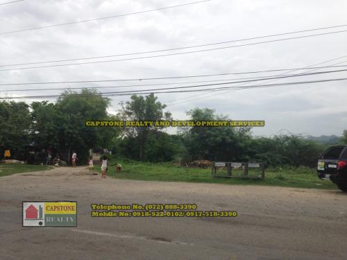 FOR SALE: Lot / Land / Farm La Union 2