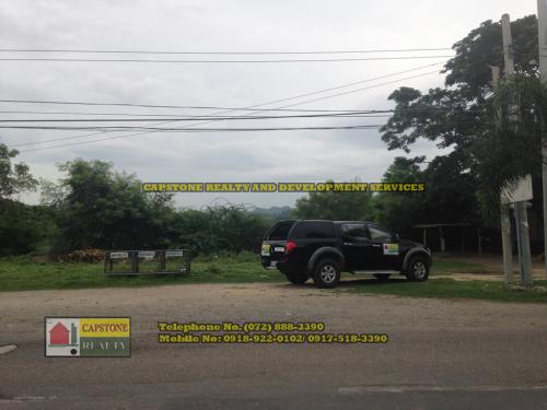 FOR SALE: Lot / Land / Farm La Union 3