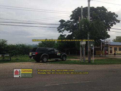 FOR SALE: Lot / Land / Farm La Union 4