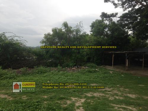 FOR SALE: Lot / Land / Farm La Union 5