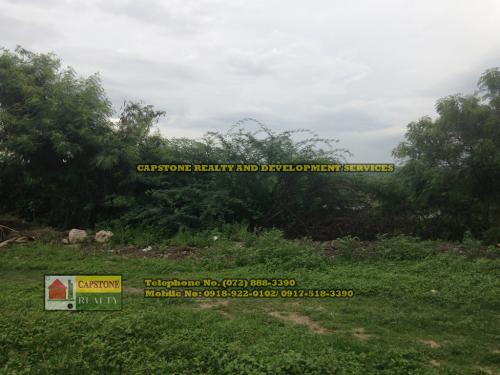 FOR SALE: Lot / Land / Farm La Union 6