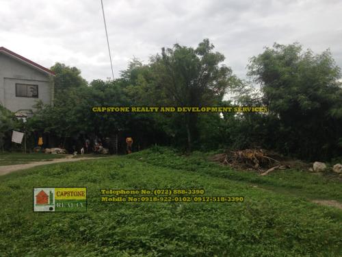 FOR SALE: Lot / Land / Farm La Union 8