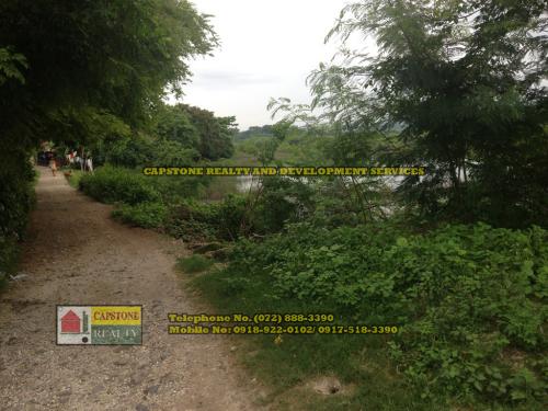 FOR SALE: Lot / Land / Farm La Union 9