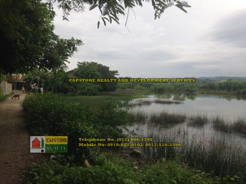 FOR SALE: Lot / Land / Farm La Union 10