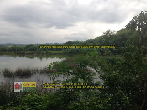 FOR SALE: Lot / Land / Farm La Union 12