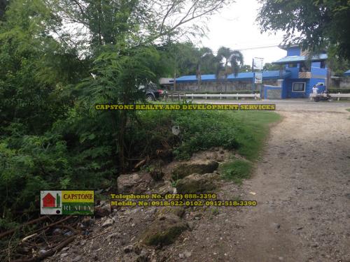 FOR SALE: Lot / Land / Farm La Union 13