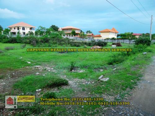 FOR SALE: Lot / Land / Farm La Union 1