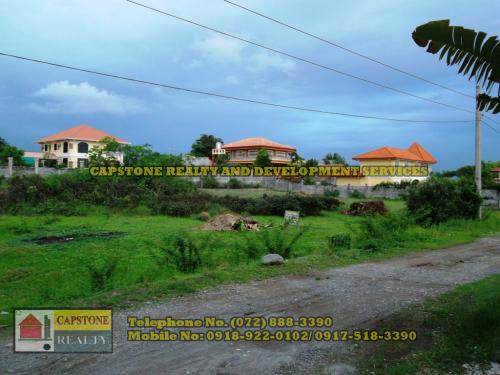 FOR SALE: Lot / Land / Farm La Union 2