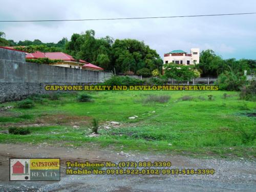 FOR SALE: Lot / Land / Farm La Union 3